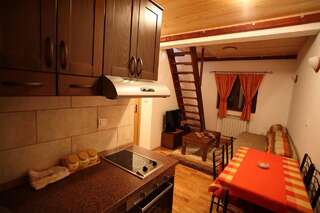 Гостевой дом Family Apartments Жабляк Двухуровневые апартаменты (для 4 взрослых)-3